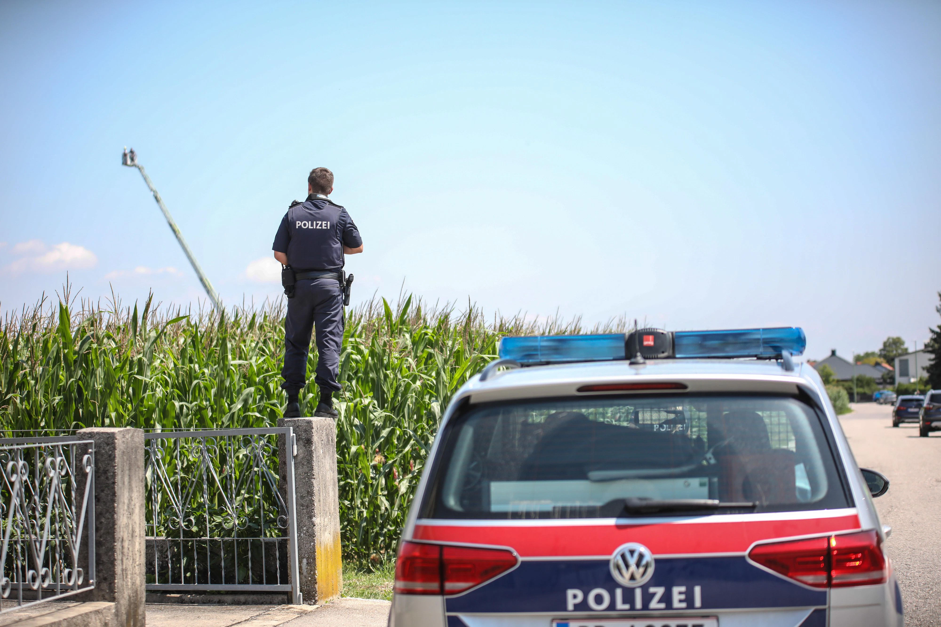 Der Verdächtige wurde in einem Maisfeld vermutet. Die Feuerwehr wurde hinzugezogen und die fuhr die Drehleiter aus.