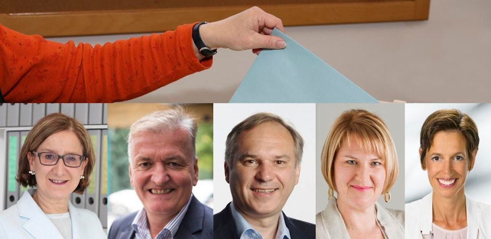Die Frontmänner und Frontfrauen der Parteien in NÖ.