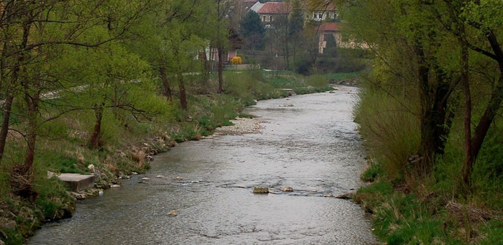 Am Ufer der Triesting in Berndorf passierte es.