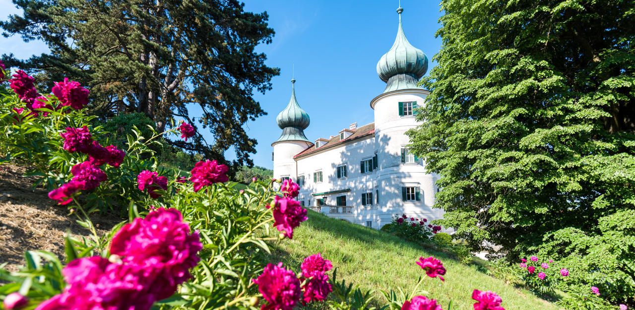 Heute.at - Hochsommerliches Wetter zum Muttertag in NÖ