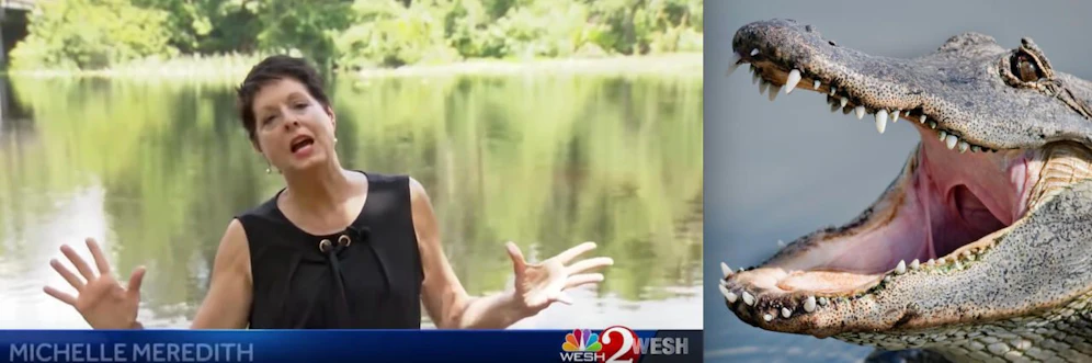 Stimmt: Der Alligator war soooo groß, nämlich stolze 3,40 Meter, wie TV-Reporterin Michelle Meredith am Tatort verdeutlicht.