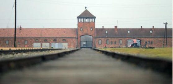 Dokumenta-Ankündigung: Provokationsthema Auschwitz / Screenshot