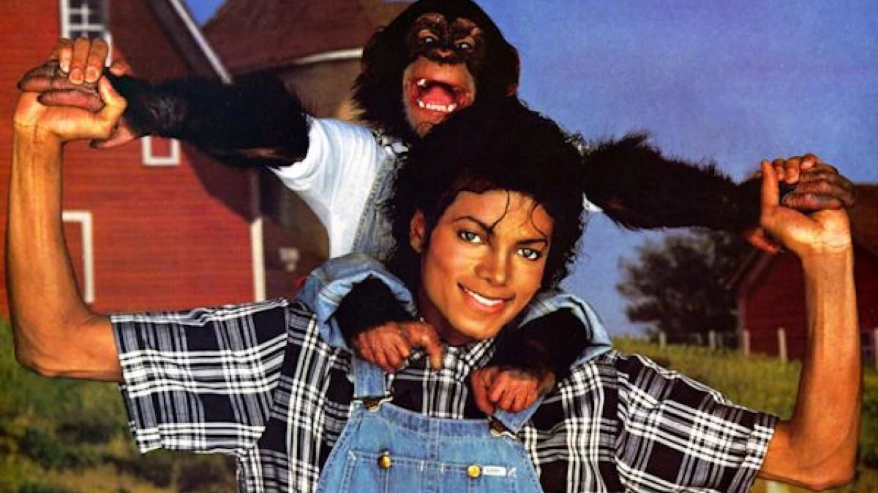 Heute.at - Bubbles lebt! Das wurde aus Michael Jacksons Affe