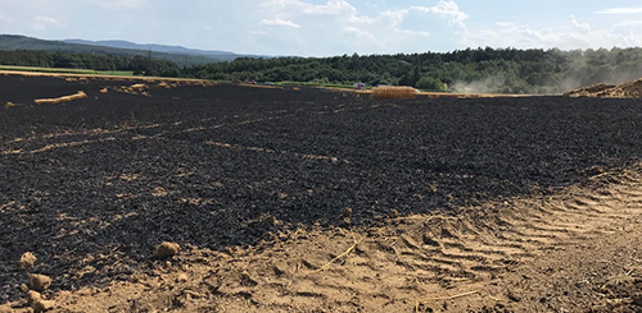Heute.at - Feld brannte meterhoch: starker Wind als Gefahr