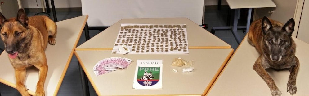 Drogenspür-Hunde der Polizei erschnüffelten in vier "Bunker-Lokalen" Cannabis.