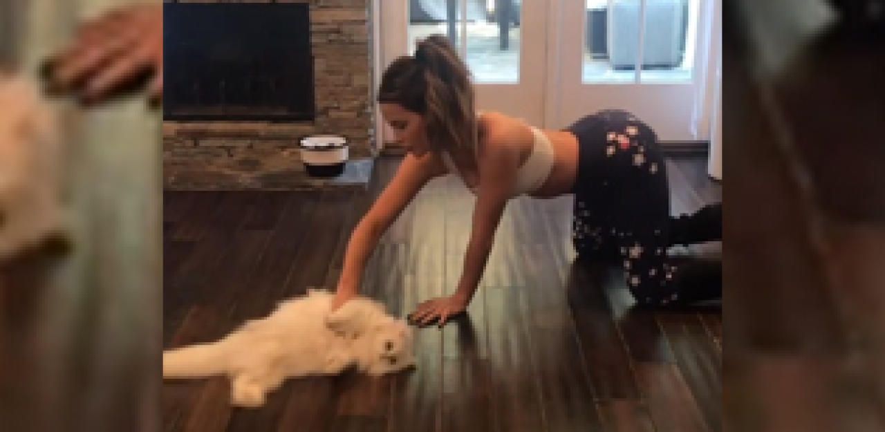 Heute.at - Kate Beckinsale wischt den Boden mit ihrer Katze