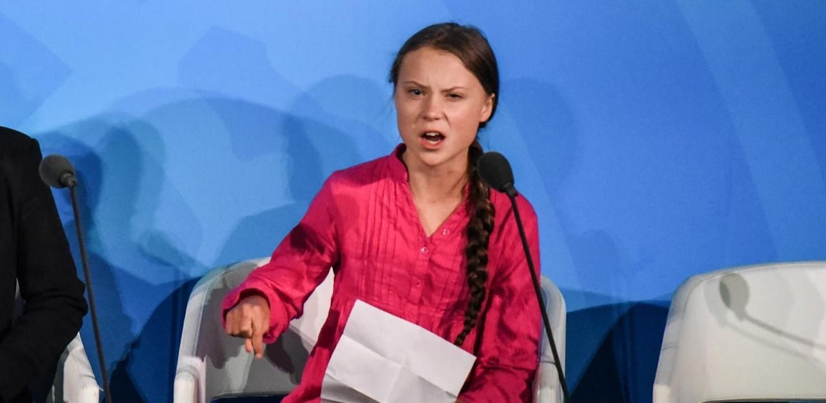 Hass gegen Thunberg: Warum sie so polarisiert