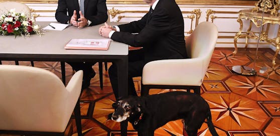 Van der Bellen und Kita trafen gemeinsam den Schweizer Bundespräsidenten.