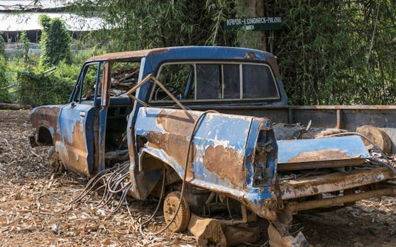 Ein deutscher Lenker (76) fand seinen geparkten Wagen nach 20 Jahren wieder. Sein Auto sah nicht ganz so schlimm aus wie auf dem Bild, musste aber trotzdem verschrottet werden!