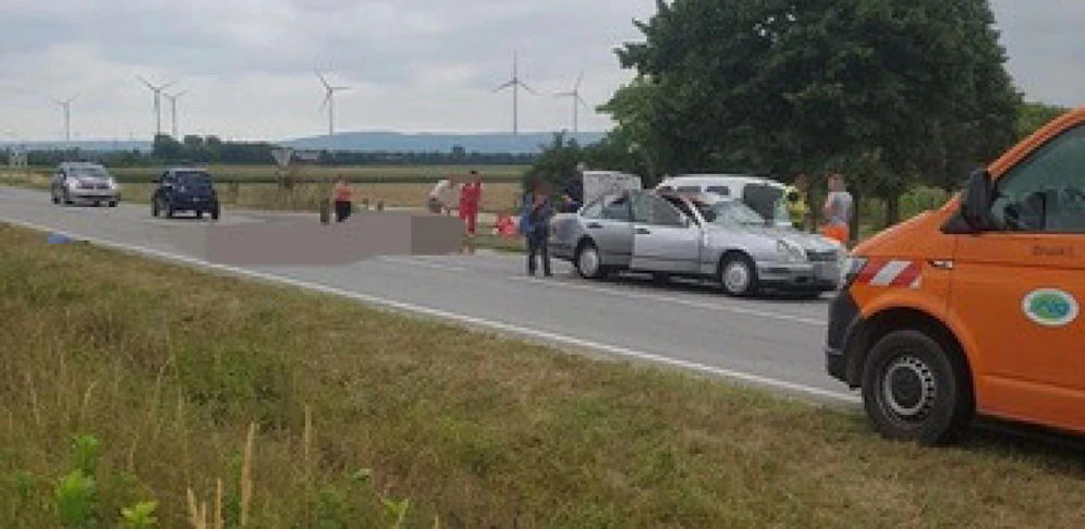 Tragischer Unfall im Bezirk Bruck: Ein Pferd starb.
