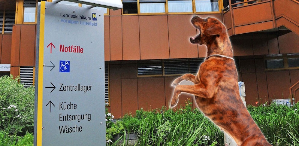 Hagl, Istock (Symbol)