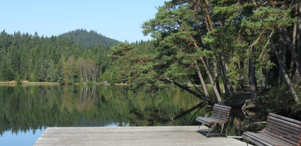 Frau fiel in die Hände eines Sex-Täters in Zwettl. 