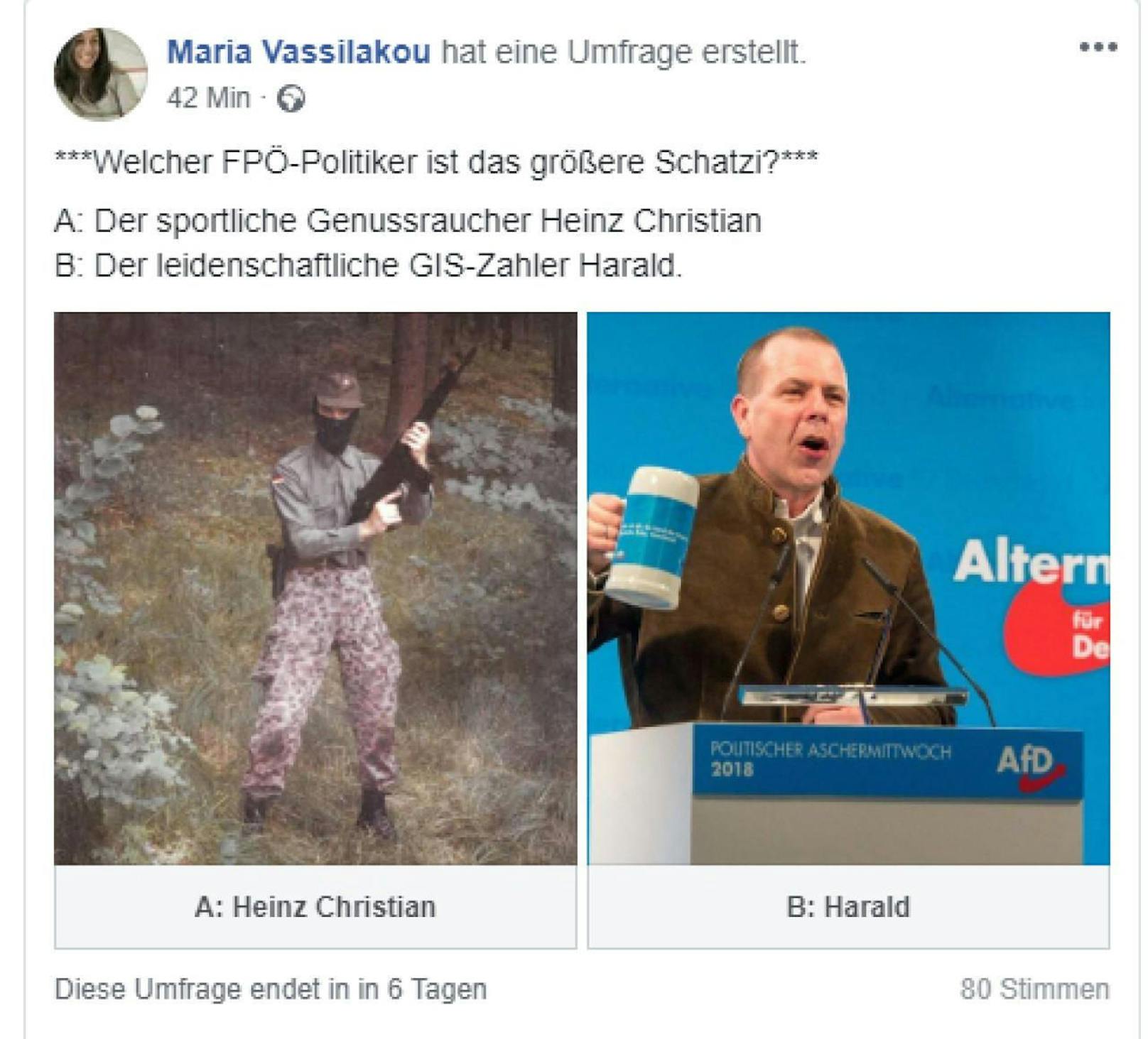 Wehrsport-Strache und Bierkrug-Vilimsky: Die Antwort von Vassilakou auf das FPÖ-Posting