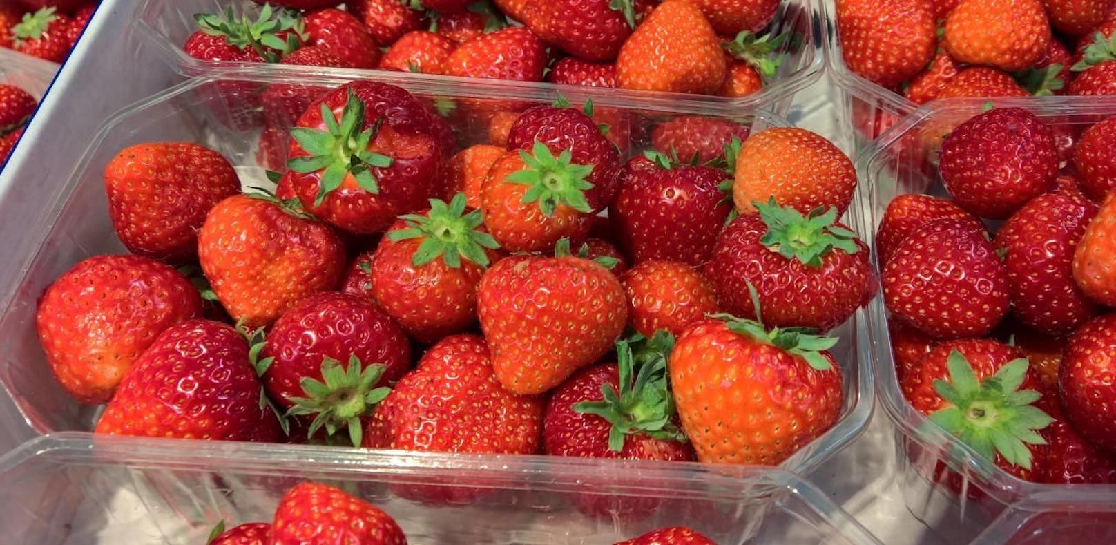 <strong>Erdbeeren:</strong> Der Wasserstrahl hinterlässt Druckstellen an den Früchten, die den Reifeprozess beschleunigen. Zum Waschen die Erdbeeren am besten in eine Schüssel Wasser geben und vorsichtig umrühren.