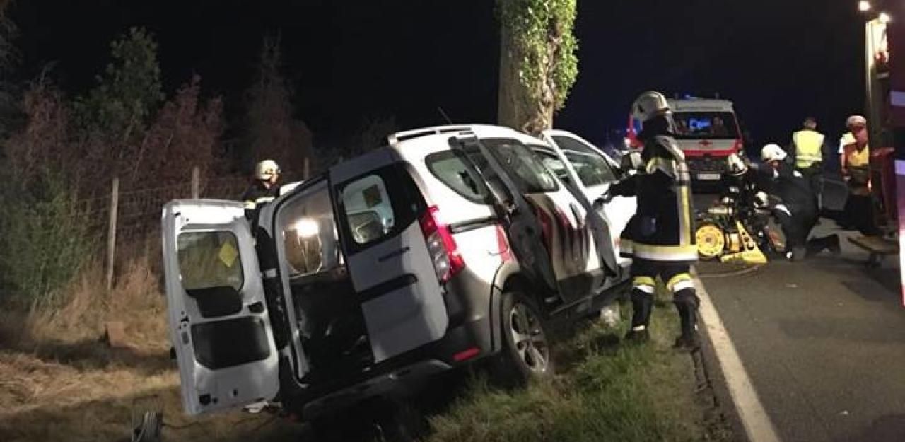 Heute.at - Frau und ihre zwei Hunde sterben bei Frontalcrash