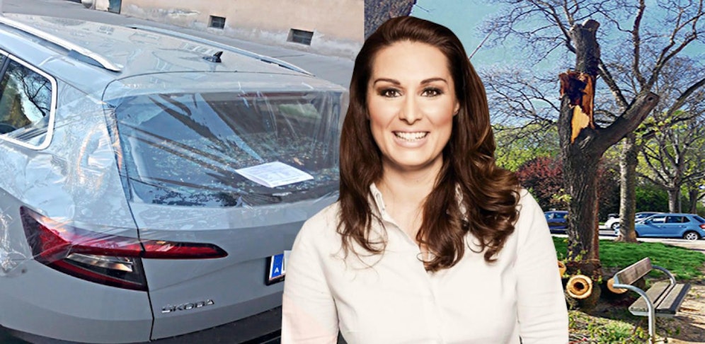 Genau am Freitag den 13. krachte Maria T. ein Baum aufs neu gekaufte Auto.