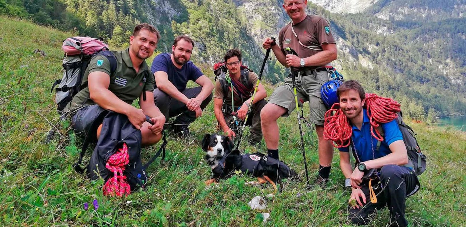Der gerettete Mischlingsrüde Credit: Nationalpark Berchtesgaden