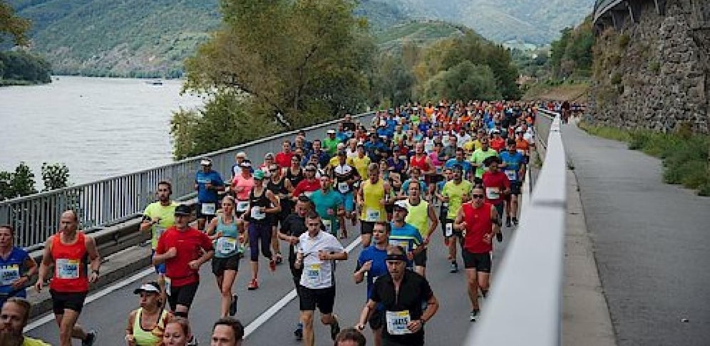 Zum 20. Mal findet der Wachau-Marathon statt. 