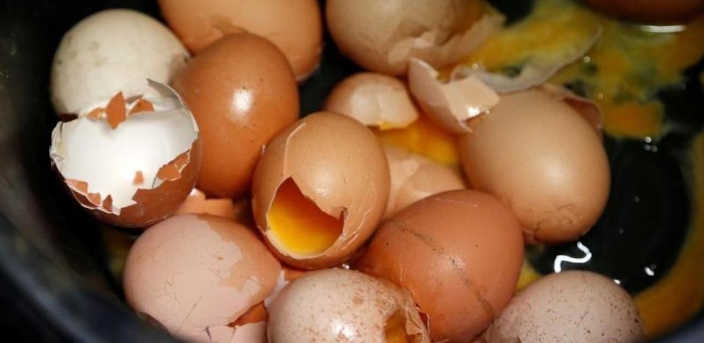 Wieder wurden mit dem Insektengift belastete Eier gefunden. 