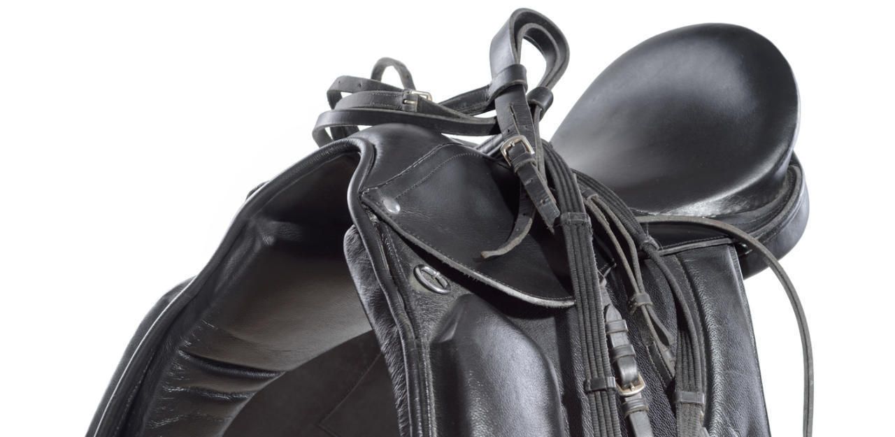 Coup in Reitstall: Sättel um 50.000 Euro weg - Niederösterreich | heute.at