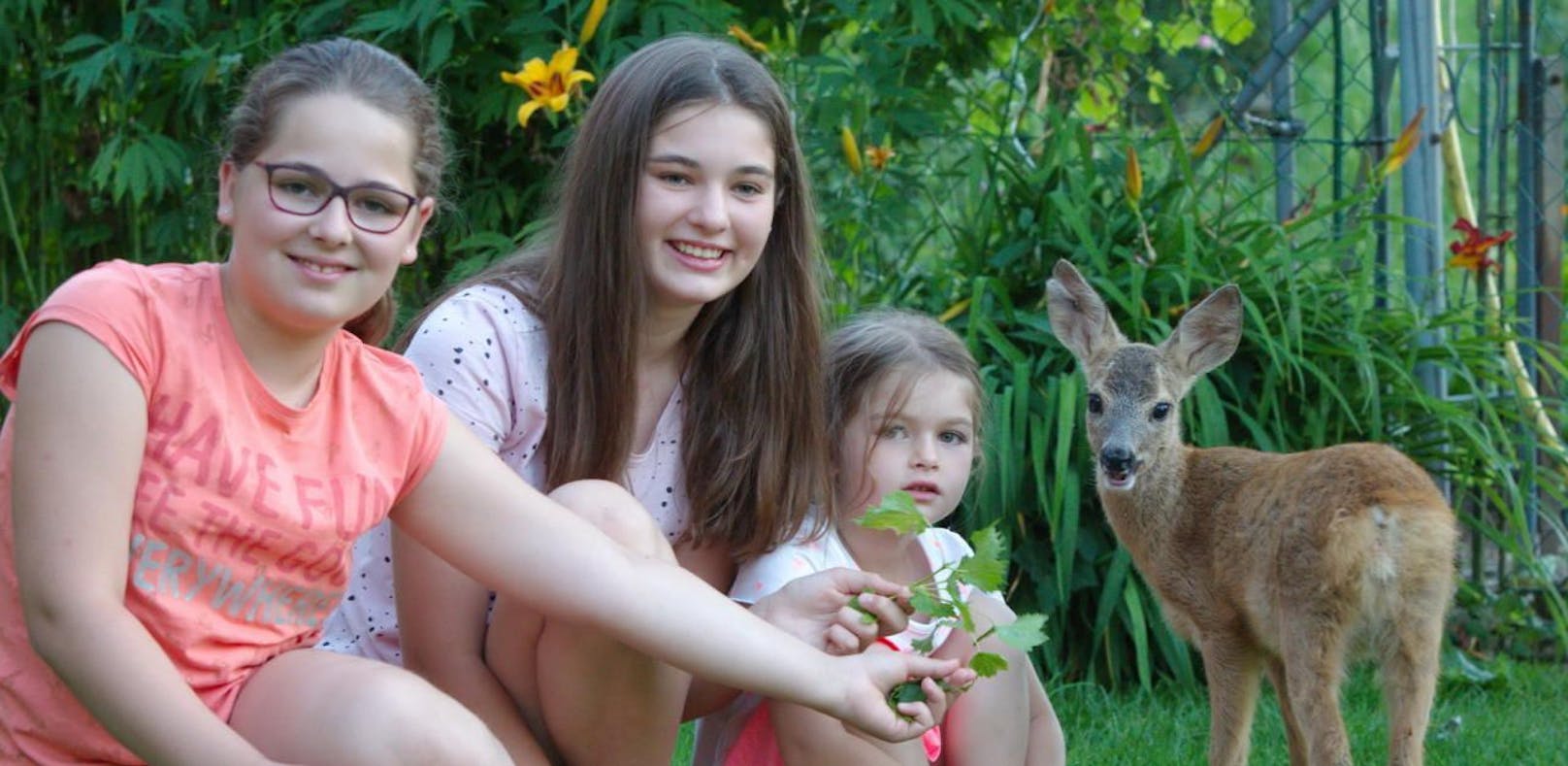 Rehkitz &quot;Ricky&quot; mit seinen Ersatzmüttern Magdalena (12), Franziska (14) und Elisabeth (5). 