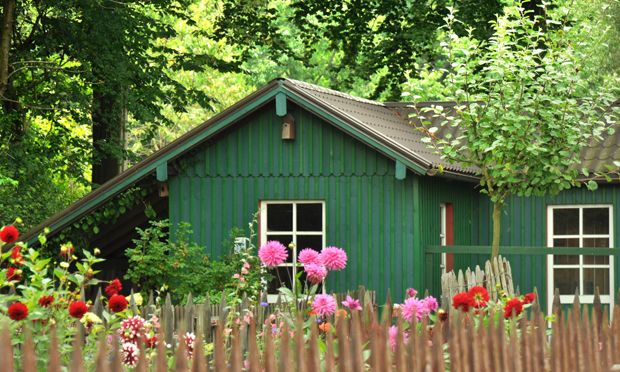 Die Wiener Baupolizei musste in einem Schrebergarten eingreifen.