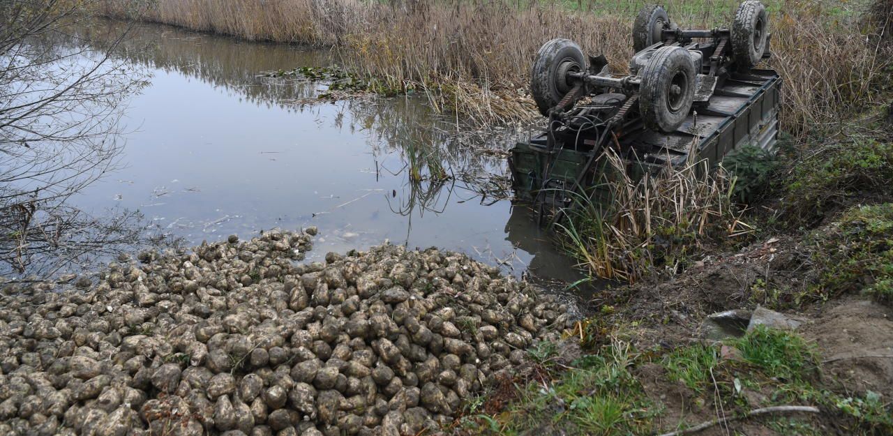 Heute.at - Vier Tonnen Zuckerrüben landeten in einem Teich