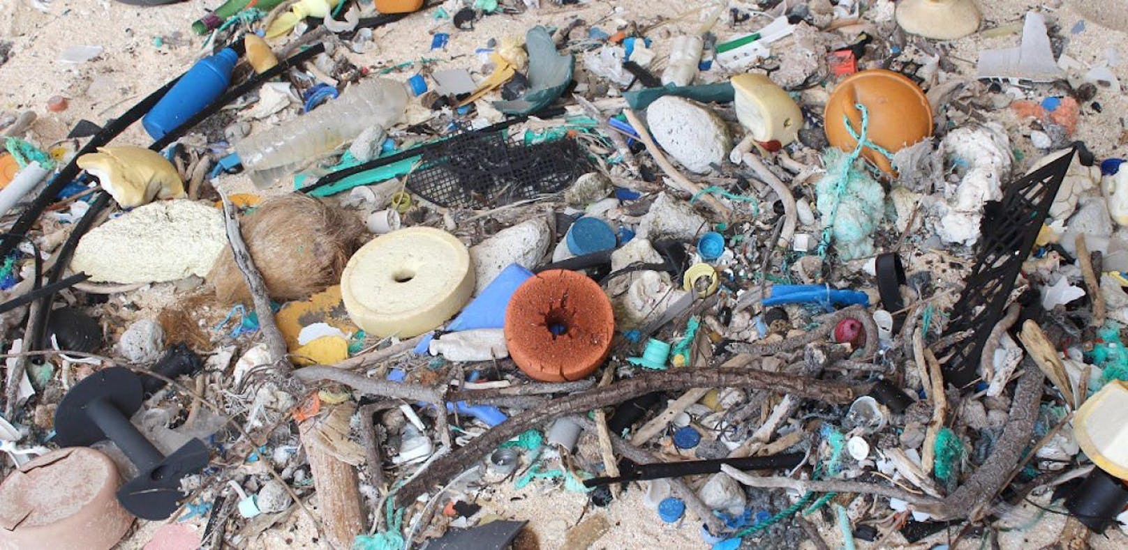Unser Plastikmüll zerstört ein Südsee-Paradies