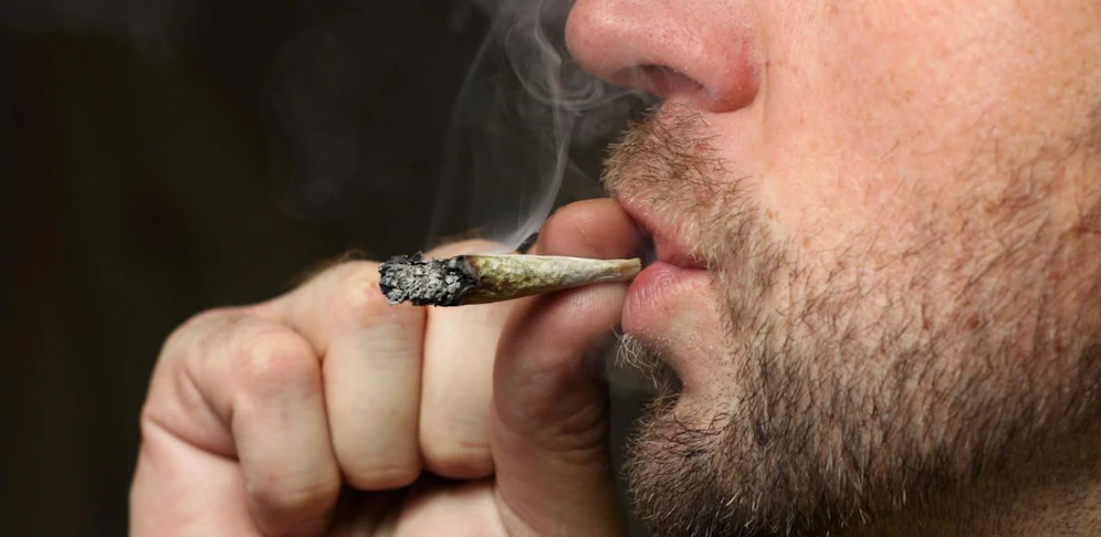 Hanfpflanzen sind prinzipiell nicht verboten, der Konsum von Marihuana sehr wohl.