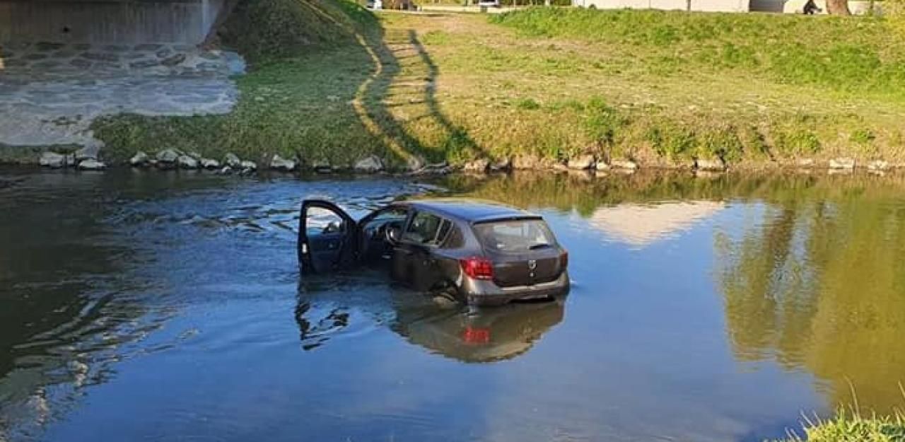 Heute.at - Pkw rollte in Leitha, weil Lenker Tiere füttern wollte