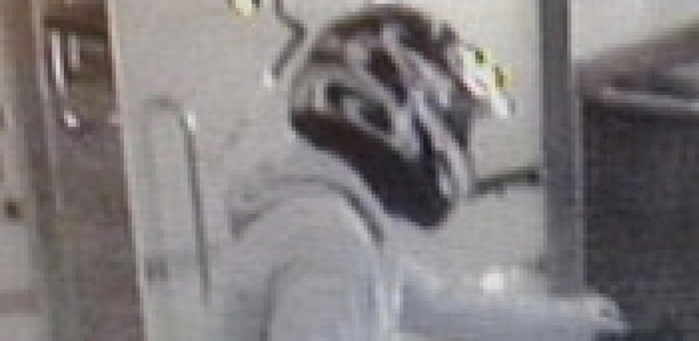 Täter überfiel ein Geldinstitut in Göpfritz an der Wild.