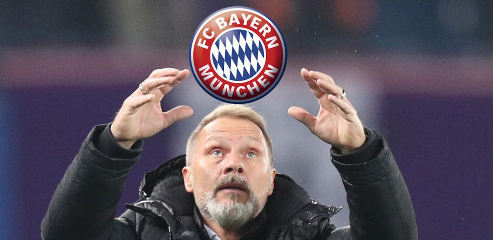Darum wird Thorsten Fink nicht Trainer der Bayern