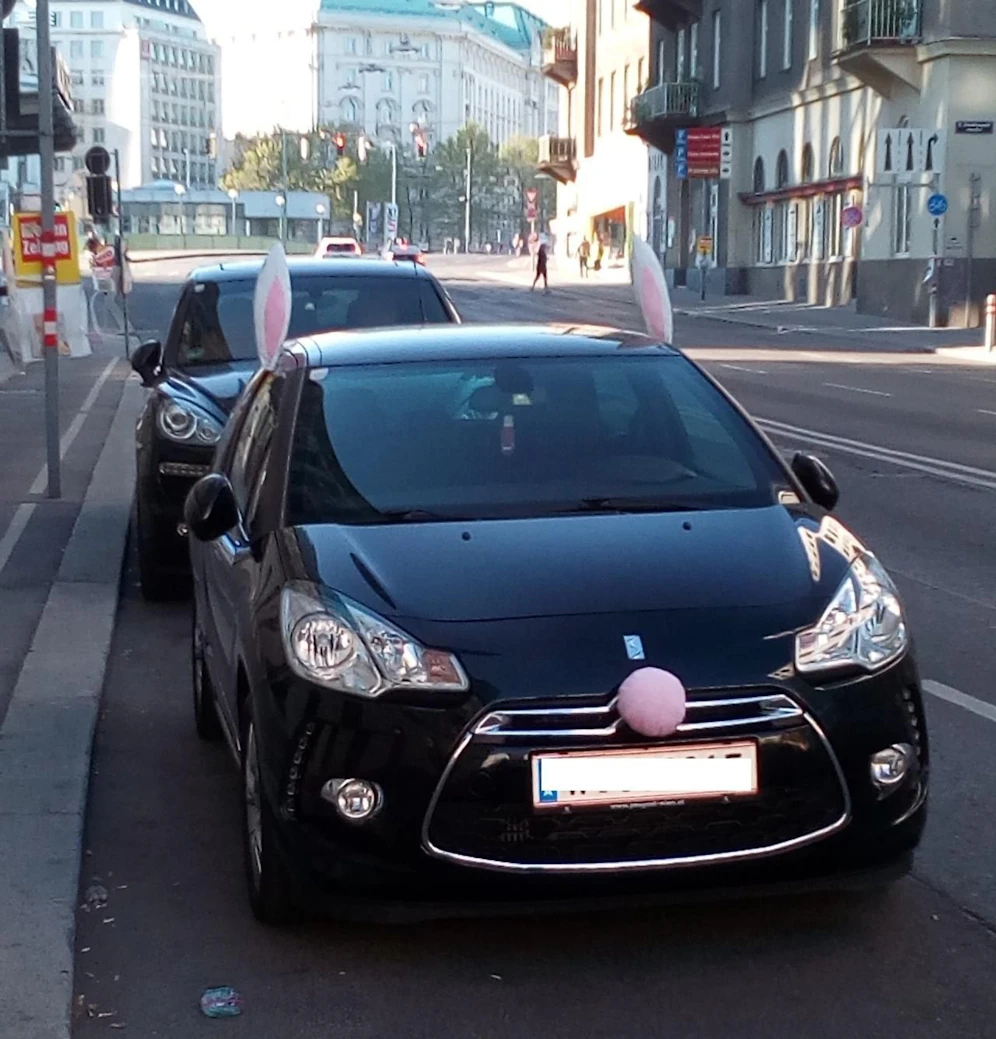 Mit Bommel und Ohrwascheln: Ungewöhnliches Fahrzeug in der Bundeshauptstadt.