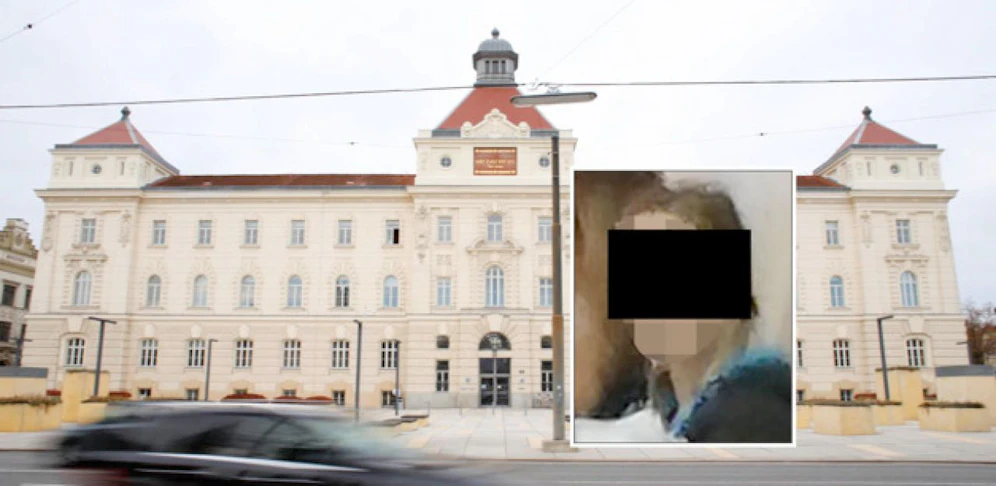 5 Monate bedingte Haft (nicht rechtskräftig) für Mutter in St. Pölten.