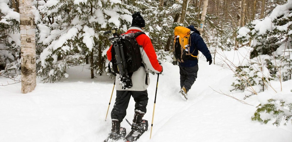 Schneeschuhläufer bei einer Wanderung durch einen verschneiten Wald. Symbolfoto