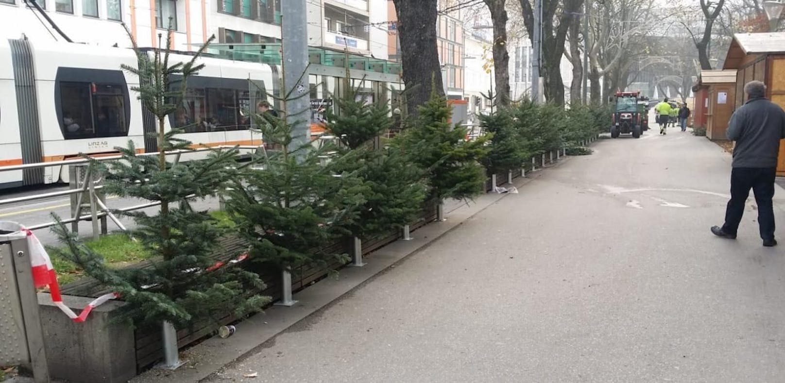 Mit diesen Christbäumen neben den Sitzbänken im Linzer Volksgarten sollen Obdachlose vertrieben werden.