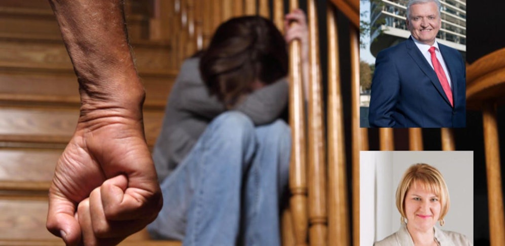 Krismer von den Grünen fordert Aufklärung, SP-Schnabl setzt Kommission ein.