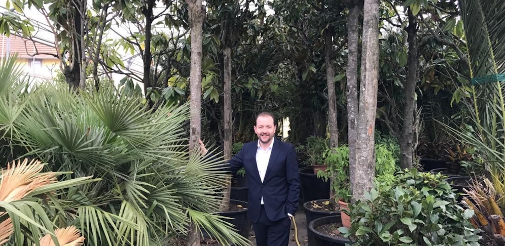 Bernhard Baier inmitten der 150 Linzer Palmen.