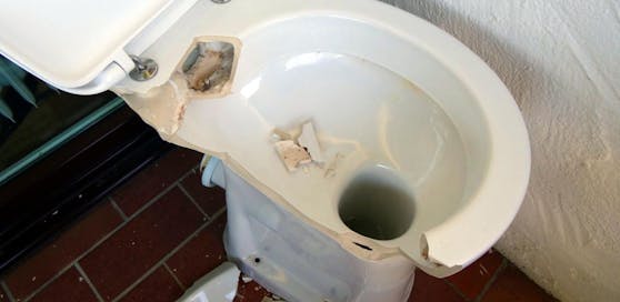 Die Männer zerstörten das Inventar einer Toilette