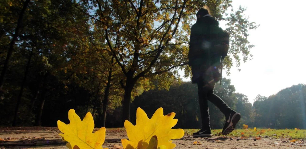 Das Wetter bleibt diese Woche in Wien herbstlich. 
