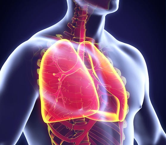Hochsaison für Atemwegserkrankungen: Es beginnt im Rachen.