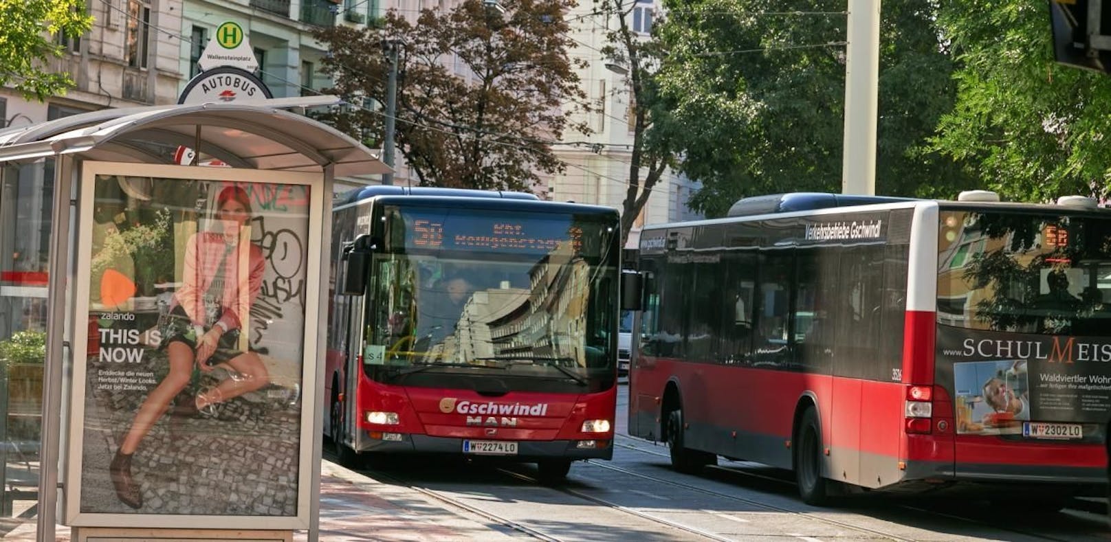 Mit Bett: Frau zieht in Wiener Bushaltestelle ein