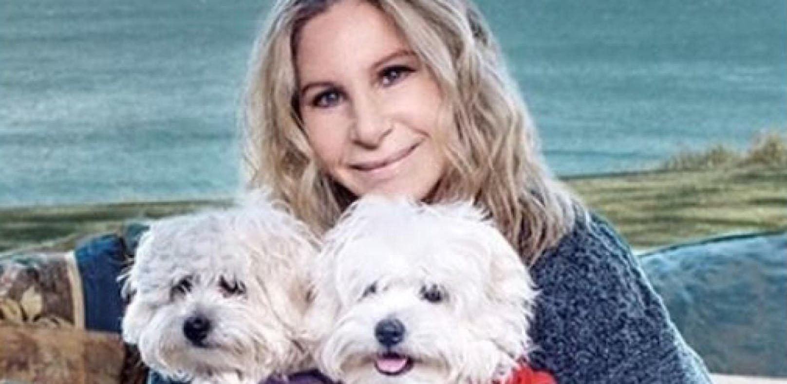 Barbra Streisand schleppt Klon-Hunde zum Grab