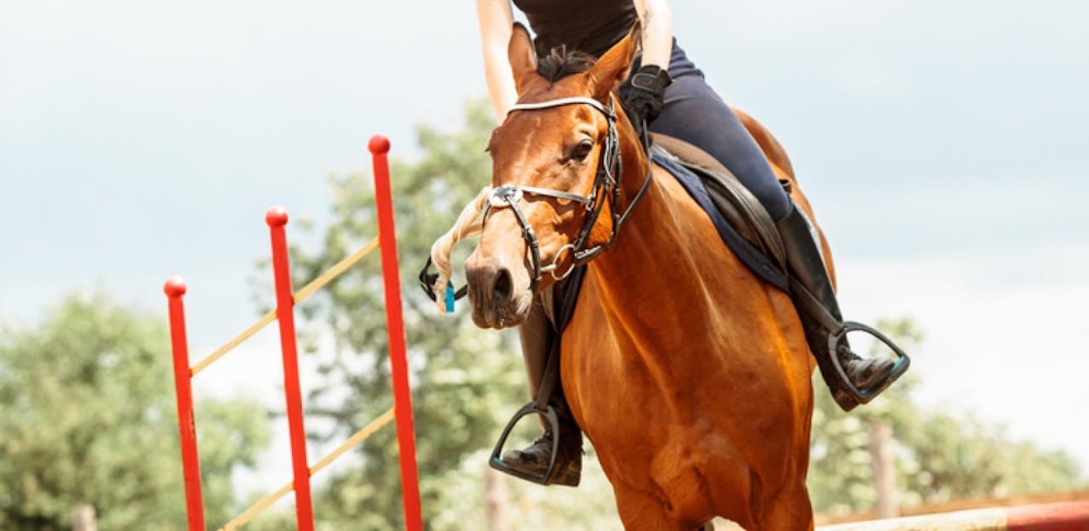 Die 22-jährige wurde vom Pferd erdrückt. 