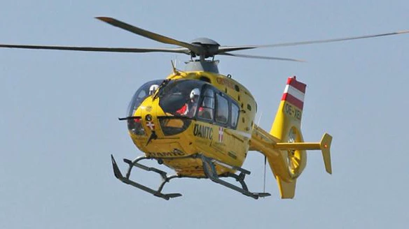 Heute.at - Wespen, Hornissen, Bienen – Jährlich sterben 7 Menschen