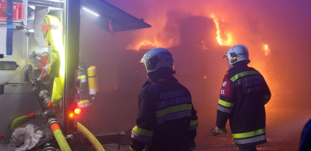 Für fünf Tiere kam jede Hilfe zu spät. (Symbolbild)