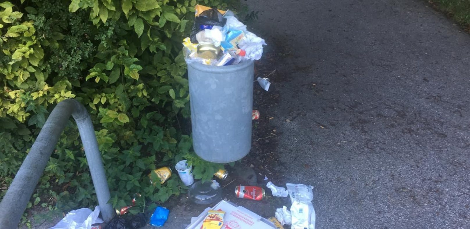 Traisen: Ärger bei Spaziergängern über volle Müllkübel.