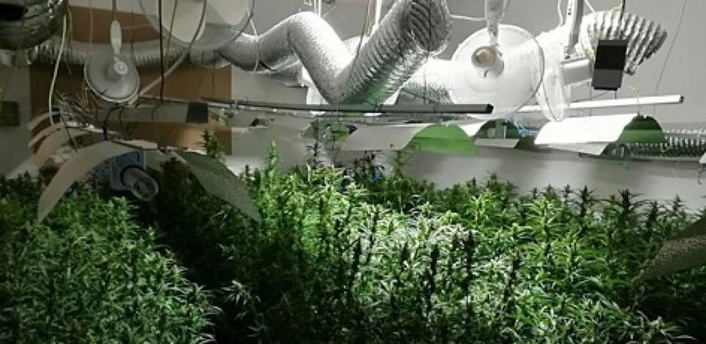 Die Serben bauten im großen Stil an.