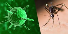 200 Menschen mit West-Nil-Virus in Europa infiziert