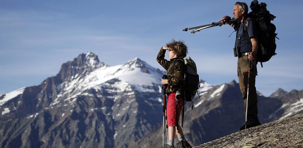 Zeichne mir eine Gämse 
